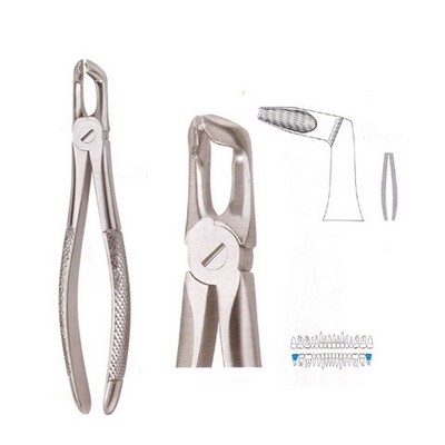 Extracting Forceps